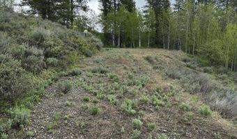 1530 POTPOURRI Dr, Ashton, ID 83420