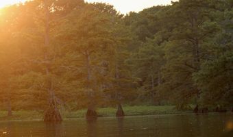 Bolivar Road, Benoit, MS 38725