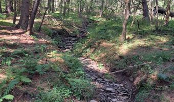 0 COUNTY ROUTE 41, Afton, NY 13730