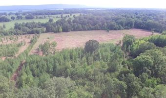 25 Acres 6th Pl, Atkins, AR 72823