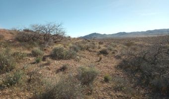 308-11 052 N Rose Quartz Rd, Chloride, AZ 86431