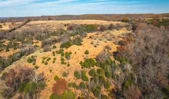 TBD State Highway 248-Tract 1, Aurora, MO 65605