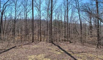 497 Cherokee Trl, Ball Ground, GA 30107