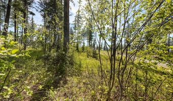 258 Trading Post Trl, Bigfork, MT 59911