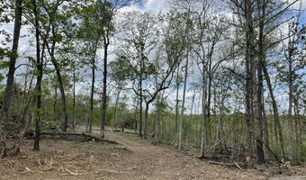 State Hwy N Tract G, Ava, MO 65608