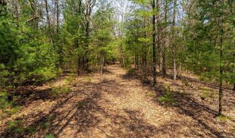 Dover Drive lot 2 +/-43 Ac, Adams, WI 53910