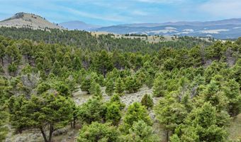 Bald Hill Lode, Basin, MT 59631