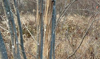 W McMann & Meadow Roads lot 13-1, Addison, ME 04606