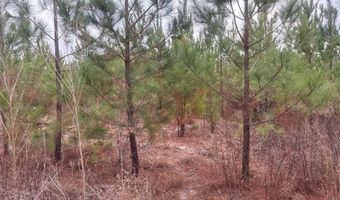 Qbf 12 Nurnberg Dr Road Qbf 12, Batesburg Leesville, SC 29070