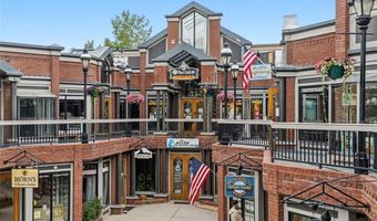 100 N Main St 204, Breckenridge, CO 80424