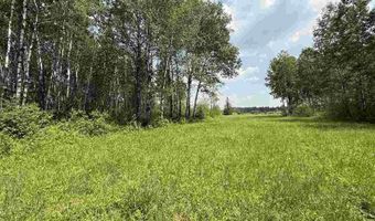 TBD Samuelson Road-Sec22, Angora, MN 55703