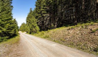 25 Starview Dr, Bigfork, MT 59911