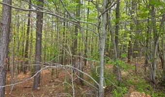 Gardner Farm Road, Appomattox, VA 24522