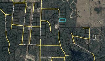 Grand Quiviera Circle lot 11, Alford, FL 32420