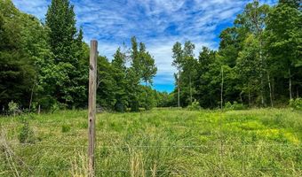 178 Mule Pulling Rd, Belden, MS 38863