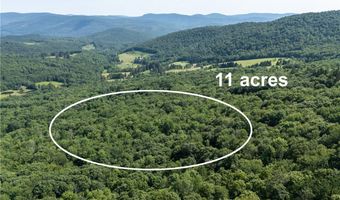 253 Davis Hollow Rd, Andes, NY 13731