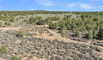 20 Acres Highway 285, Carson, NM 87577