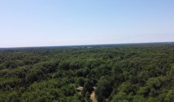 796 Blue Branch Rd, Bennington, OK 74723