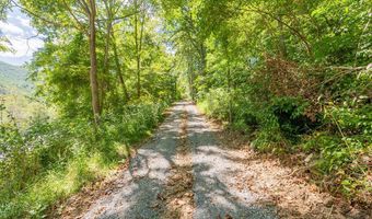 Lot 20 Clear Fork Creek Road, Bastian, VA 24314