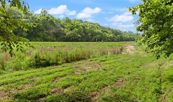 42 Oneal Rd, Adolphus, KY 42120