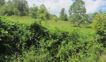 43 Sanctuary Ln, Alderson, WV 24910