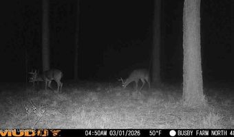U.S. Highway 51, Bogue Chitto, MS 39629