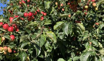 6005 More Ln, Anchorage, AK 99504