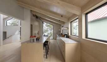 609 W Francis St, Aspen, CO 81611