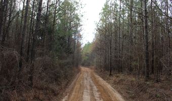 65 Collier Rd, Hickory Flat, MS 38633