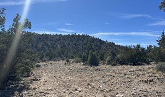 362 Big View Trl, Ash Fork, AZ 86320