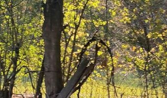 0 MONTEVALLO Rd, Alabaster, AL 35007