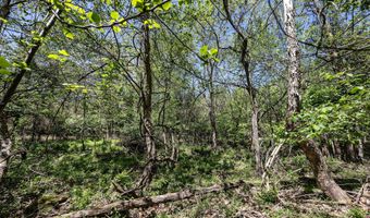 2 Shain Dr, Bardstown, KY 40004