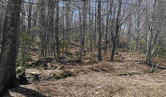 501 Gates Rd, Andover, VT 05143