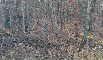 Tract 94 95 Vernon Court Road, Austin, AR 72007