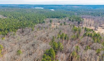 Brushy Cemetery Road, Amity, AR 71921