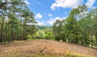 477 Gidsville Rd, Amherst, VA 24521