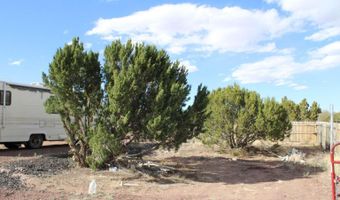 17 Bonita Ln, Concho, AZ 85924
