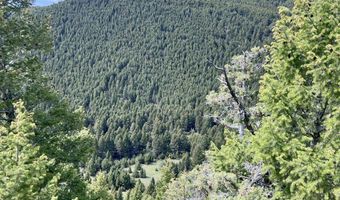 Nhn Lost Creek Rd, Anaconda, MT 59711