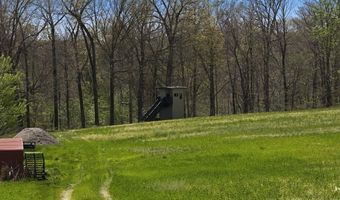 2375 Antioch Church Rd, Alvaton, KY 42122