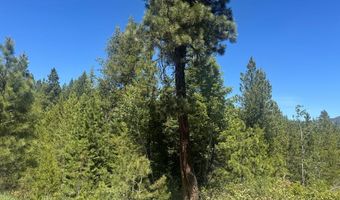 Saddle Rock Drive lot 19, Cascade, ID 83611