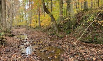 1790 Coon Hunt Rd, Baxter, TN 38544