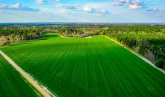 Beaufort Rd. & Warnock Rd, Alma, GA 31510