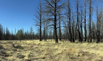 Mahogany Lane 200, Beatty, OR 97621