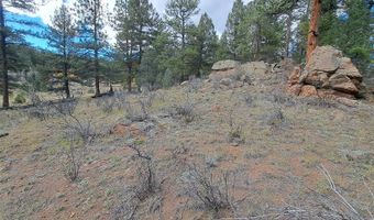 1077 Roland Dr, Bailey, CO 80421