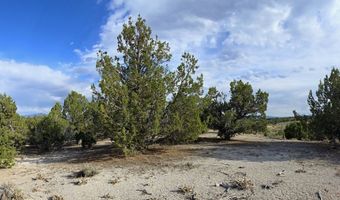 816 Hamilton Stage Rd, Elko, NV 89801