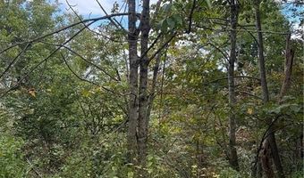 Tdb Nettles Ridge Road, Banner Elk, NC 28604
