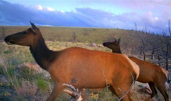 nhn Ranger Way lot Bvr 942-3, Belfry, MT 59008