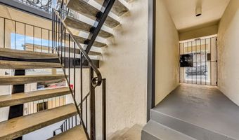 599 Jackson St, Albany, CA 94706