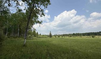 TBD Samuelson Road-Sec22, Angora, MN 55703
