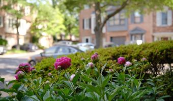 3816 USHER Ct, Alexandria, VA 22304
